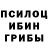 Псилоцибиновые грибы Cubensis Alihan Temrezov