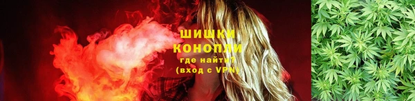 шишки Алексеевка
