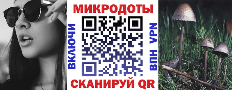 продажа наркотиков  Андреаполь  Галлюциногенные грибы Magic Shrooms 
